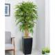Artificial Plant - Bamboo